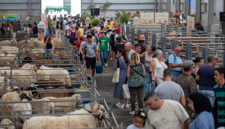 El Cabildo de Fuerteventura abre esta semana el plazo para solicitar las ayudas dirigidas al sector primario