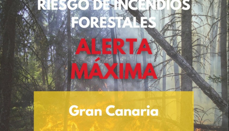 El Gobierno canario activa la alerta máxima por incendios forestales en Gran Canaria a partir de este lunes