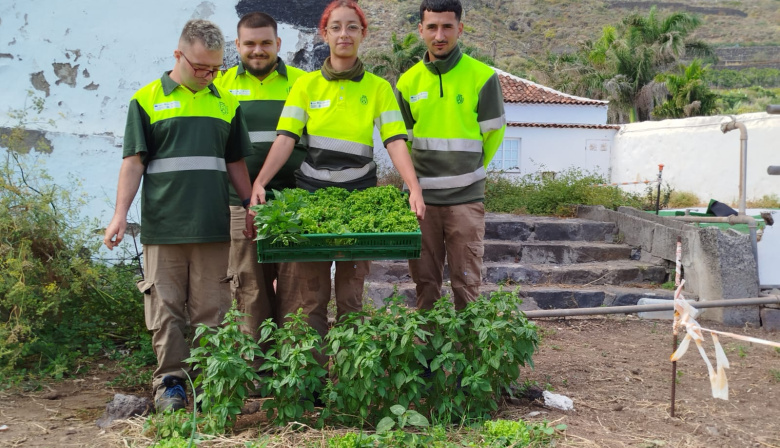El Cabildo de Tenerife impulsa la empleabilidad juvenil y la agricultura sostenible a través del programa “Segunda Oportunidad”