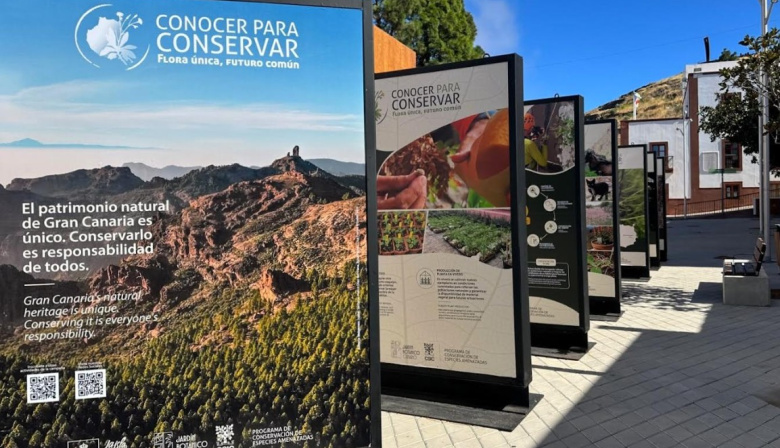 El Cabildo inicia en Artenara la campaña 'Conocer para Conservar' sobre la flora amenazada de Gran Canaria