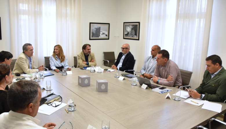 El Cabildo y el sector de las renovables acuerdan avanzar en una hoja de ruta para acelerar la transición energética de Tenerife