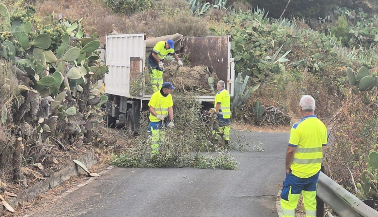 La Fase VI del Plan de Higiene Urbana de Las Palmas de Gran Canaria supera los 20.000 kilos de residuos retirados tras sus primeros tres meses