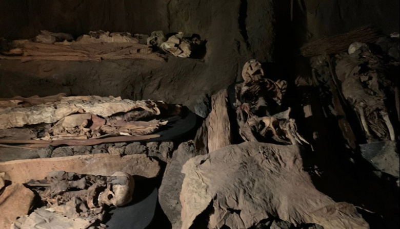 El Museo Canario centrará sus Jornadas de Arqueología en los avances de la investigación y los retos del futuro