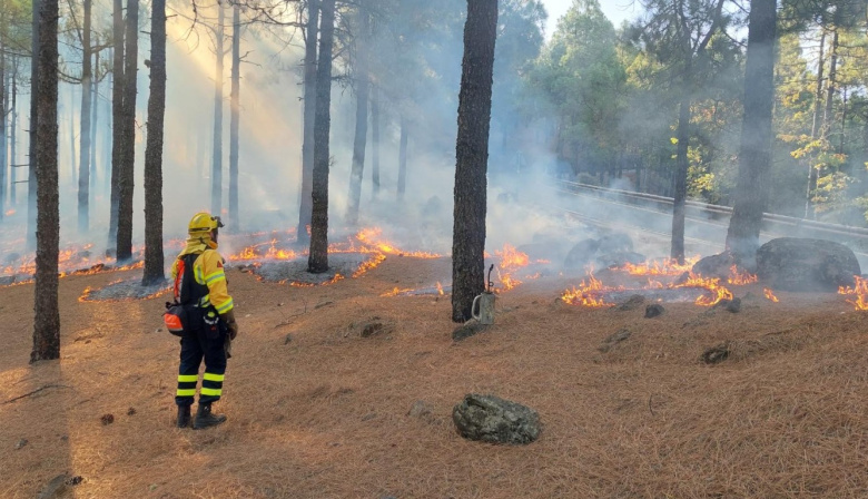 Gran Canaria pasa a época de peligro medio de incendios y vuelve a permitir las quemas agrícolas