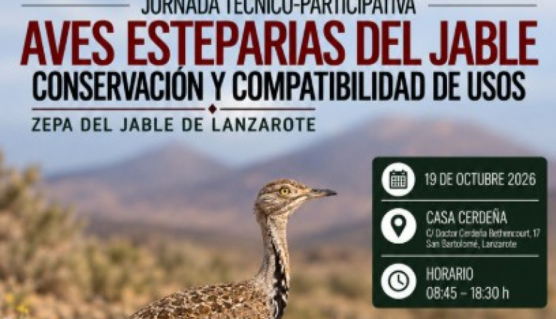 El Cabildo de Lanzarote y La Graciosa reúne a expertos y sectores del Jable para abordar la conservación de las aves esteparias