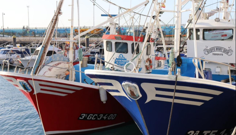 Canarias defiende ante Bruselas la importancia del Desarrollo Local Participativo en las comunidades pesqueras