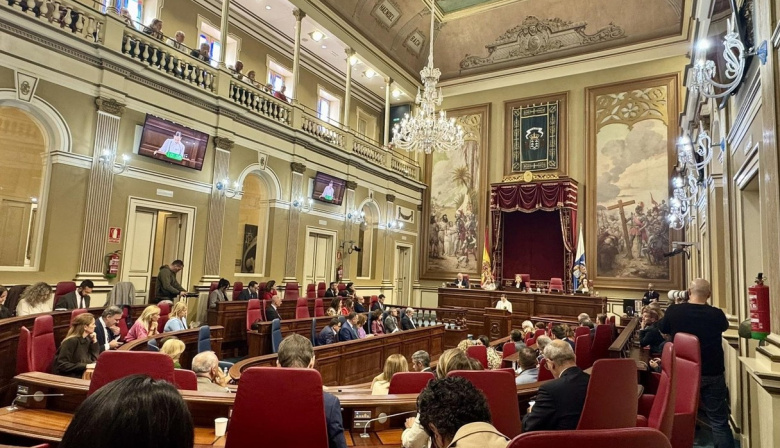 El Parlamento defiende un refuerzo militar del Estado ante los efectos de la migración irregular en Canarias