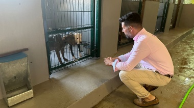 CC asegura que las instalaciones de recogida de perros y gatos en Las Palmas de Gran Canaria están “saturadas”