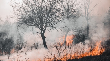 Canarias en alerta máxima por riesgo de incendios forestales