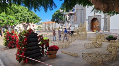 Telde le da color a la Navidad en la ciudad con la plantación de 6.000 pascuas