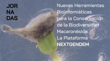 El proyecto NEXTGENDEM crea nuevas herramientas para la conservación de la flora macaronésica mediante la aplicación de técnicas informáticas como la supercomputación