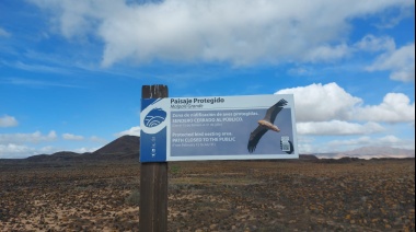 Fuerteventura cierra, hasta julio, varios tramos de senderos y barrancos para favorecer la nidificación de especies protegidas