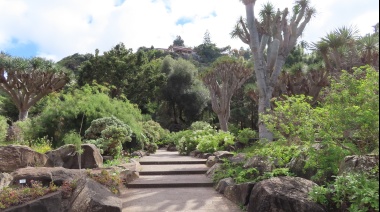 El Cabildo de Gran Canaria licita por 315.000 euros la continuidad del servicio de atención al público durante las tardes y fines de semana en el Jardín Canario