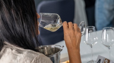 El Gobierno de Canarias convoca el Concurso Oficial de Vinos Agrocanarias 2024