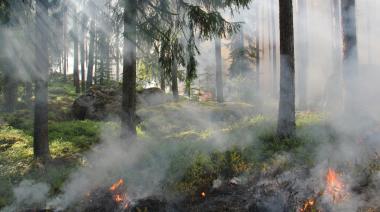 El Gobierno estudia medidas extraordinarias ante el elevado riesgo de incendios forestales en Canarias