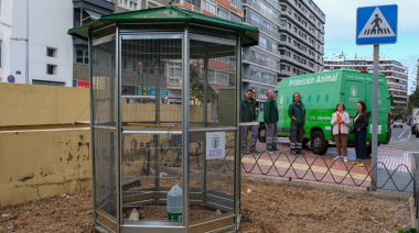 El Ayuntamiento de Las Palmas de Gran Canaria inicia un proyecto piloto para reducir la población de palomas en la ciudad