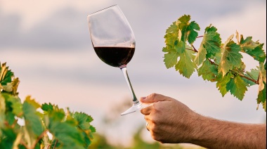 Treinta vinos canarios resultan premiados en la sexta edición del Concurso Nacional VinEspaña