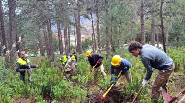El Cabildo de Tenerife forma a estudiantes en materia de extinción de incendios forestales