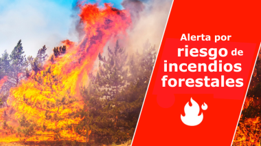 El Gobierno de Canarias declara la alerta por riesgo de incendios forestales