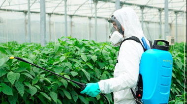 El Cabildo de La Gomera oferta un curso de manipulador de productos fitosanitarios de nivel básico