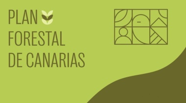 El nuevo Plan Forestal de Canarias recibe un total de 31 alegaciones