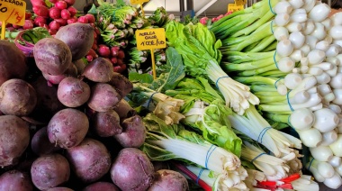 El Cabildo refuerza la actividad de los mercados del agricultor de Tenerife