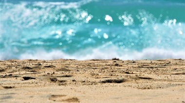 El Cabildo de Fuerteventura firma convenio con los seis ayuntamientos de la Isla para suministros en playas por importe de 3,5 millones de euros