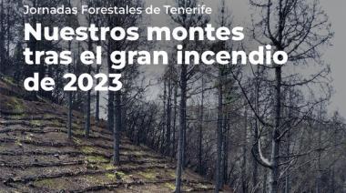 El Cabildo congregará a una treintena de expertos en las Jornadas Forestales de Tenerife