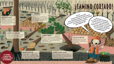 El Cabildo de Tenerife impulsa una campaña informativa sobre la erradicación del pino radiata