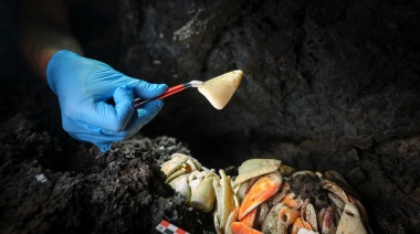 Hallados más de doscientos colgantes de conchas con casi un milenio de antigüedad en Villa de Mazo