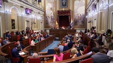 El PSOE lleva a Pleno el Pacto canario por la inmigración, los recortes de la FP y las modificaciones de la Ley del Cambio Climático