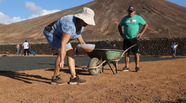 El Cabildo de Lanzarote abre el plazo para la solicitud de semillas de cebolla y de canteros para los semilleros de cebollino