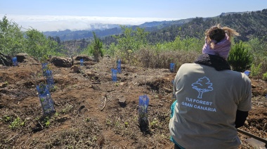 El Bosque TUI Forest Gran Canaria desarrolla un plan de mantenimiento para superar el primer verano