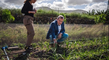 El Cabildo de Tenerife distribuye más de 162.000 euros entre 114 agricultores para la lucha contra la polilla guatemalteca