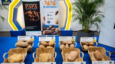 La VI Feria Insular de la Papa de Gran Canaria 2024 certificará la relevancia de un producto de la Isla que sigue ganando terreno