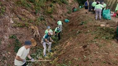 El Cabildo de Tenerife refuerza su campaña de reclutamiento de voluntarios para la protección del medio ambiente
