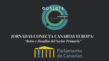 Profesionales, empresarios y técnicos del sector primario toman la palabra esta semana en el Parlamento canario