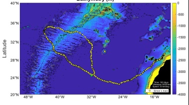 Las tortugas marinas de Fuerteventura exploran el Atlántico y las aguas del afloramiento sahariano