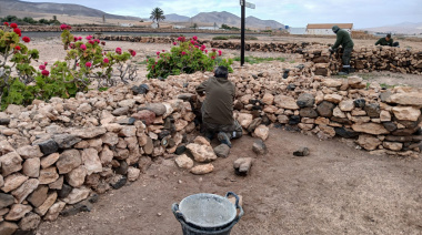Las cuadrillas de Fuerteventura restauran más de 3.600 metros de muros de piedra seca en La Alcogida