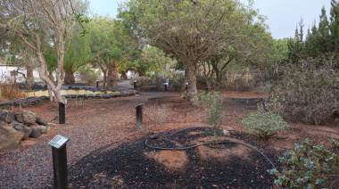 El Cabildo de Fuerteventura impulsa la conservación de ecosistemas terrestres con un proyecto de restauración ambiental