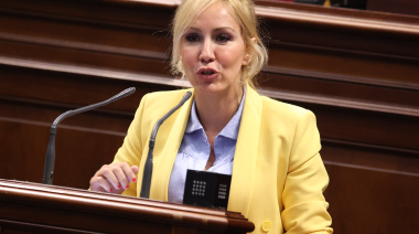 El Parlamento, a propuesta del Partido Popular, insta al Gobierno de Canarias a declarar el Timple como Bien de Interés Cultural