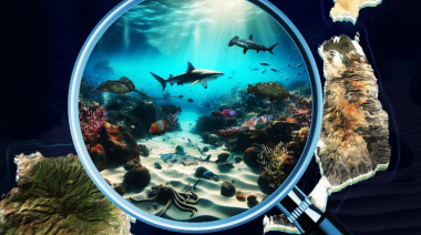 Fuerteventura acoge un taller sobre biología y gestión pesquera para no científicos