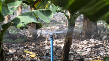 El Gobierno de Canarias y el Cabildo de Tenerife organizan una jornada de gestión de agua de riego