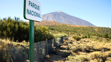 El Cabildo de Tenerife valora la suspensión de la manifestación en el corazón del Parque Nacional del Teide