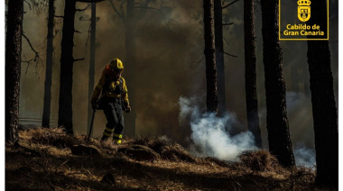El Cabildo de Gran Canaria organiza un taller para periodistas sobre incendios forestales