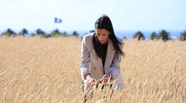 El Cabildo de Lanzarote planta identidad: el Área de Artesanía cultiva trigo para nutrir el futuro de la sombrera canaria