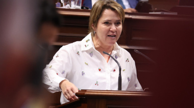 El PSOE exige la comparecencia del consejero de Transición Ecológica para explicar la gestión en el cero energético de La Palma y reclama una “respuesta eficaz” a los apagones