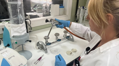 La red de laboratorios de Salud Pública procesó más de 11.200 muestras de alimentos y aguas en 2024