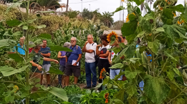 El Pambaso acogerá un nuevo taller de ‘Huertos en TUhogar’ para fomentar el autocultivo en macetas