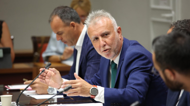 Torres desmiente en su comparecencia las acusaciones sobre contratos en la pandemia